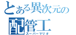 とある異次元の配管工（スーパーマリオ）