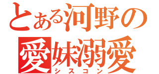 とある河野の愛妹溺愛（シスコン）