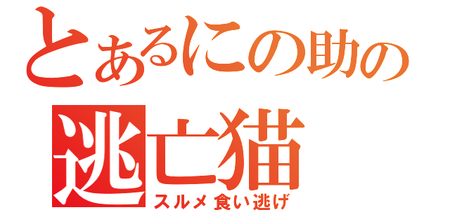 とあるにの助の逃亡猫（スルメ食い逃げ）