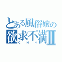 とある風俗嬢の欲求不満Ⅱ（ＣＨ４）