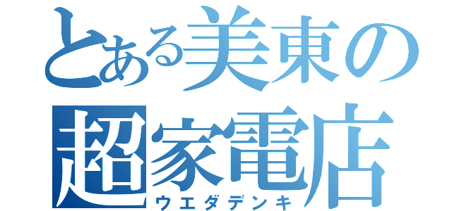 とある美東の超家電店（ウエダデンキ）