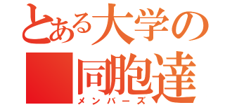 とある大学の　同胞達（メンバーズ）