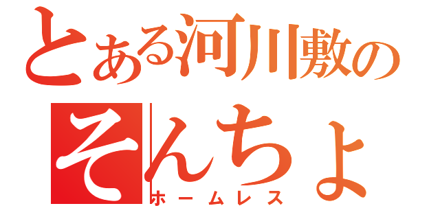 とある河川敷のそんちょう（ホームレス）