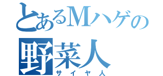 とあるＭハゲの野菜人（サイヤ人）