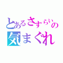 とあるさすらい旅人の気まぐれ（）