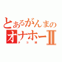 とあるがんまのオナホールⅡ（タコ娘）