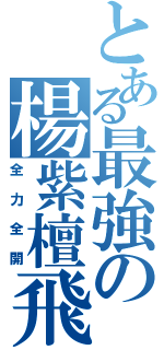 とある最強の楊紫檀飛Ⅱ（全力全開）