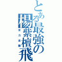 とある最強の楊紫檀飛Ⅱ（全力全開）