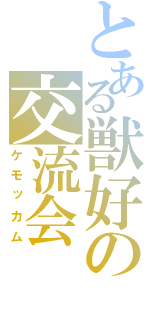 とある獣好の交流会（ケモッカム）