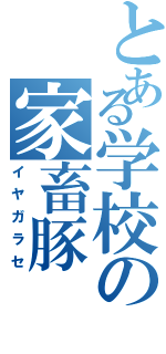 とある学校の家畜豚（イヤガラセ）