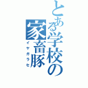 とある学校の家畜豚（イヤガラセ）