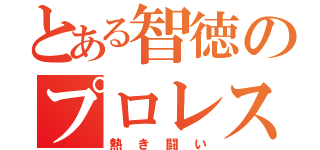 とある智徳のプロレス伝説（熱き闘い）