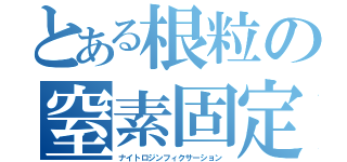 とある根粒の窒素固定（ナイトロジンフィクサーション）