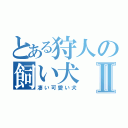 とある狩人の飼い犬Ⅱ（凄い可愛い犬）