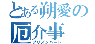 とある朔愛の厄介事（プリズンハート）