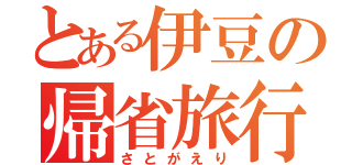 とある伊豆の帰省旅行（さとがえり）