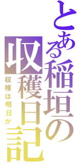 とある稲垣の収穫日記（収穫は明日か）