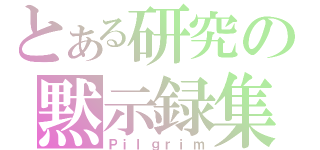 とある研究の黙示録集（Ｐｉｌｇｒｉｍ）