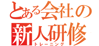 とある会社の新人研修（トレーニング）