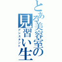 とある美容室の見習い生Ⅱ（アシスタント）