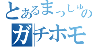 とあるまっしゅのガチホモ説（）