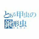 とある甲虫の鍬形虫（ドルクス）