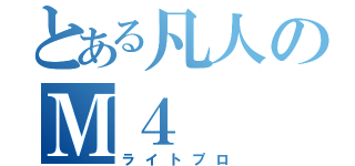 とある凡人のＭ４（ライトプロ）