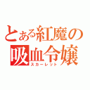 とある紅魔の吸血令嬢（スカーレット）