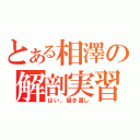 とある相澤の解剖実習（はい、描き直し）