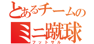 とあるチームのミニ蹴球（フットサル）