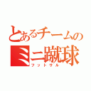 とあるチームのミニ蹴球（フットサル）