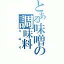 とある味噌の調味料（えみそ）