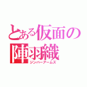 とある仮面の陣羽織（ジンバーアームズ）