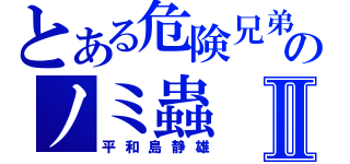 とある危険兄弟のノミ蟲Ⅱ（平和島静雄）