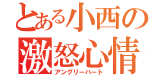 とある小西の激怒心情（アングリーハート）