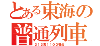 とある東海の普通列車（３１３系１１００番台）