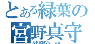 とある緑葉の宮野真守（ガチ宮野Ｖｏｉｃｅ）