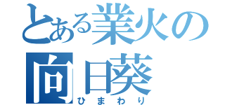 とある業火の向日葵（ひまわり）