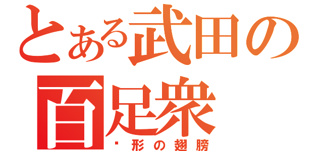 とある武田の百足衆（隐形の翅膀）