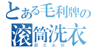 とある毛利牌の滚筒洗衣机（新兰永恒）