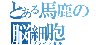 とある馬鹿の脳細胞（ブラインセル）