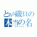 とある磯貝の本当の名（ パウリゲス）