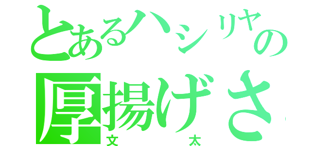 とあるハシリヤの厚揚げさん（文太）