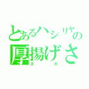 とあるハシリヤの厚揚げさん（文太）