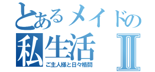 とあるメイドの私生活Ⅱ（ご主人様と日々格闘）