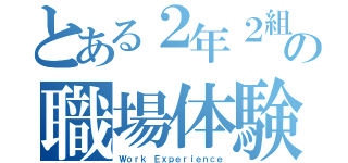 とある２年２組の職場体験（Ｗｏｒｋ　Ｅｘｐｅｒｉｅｎｃｅ）