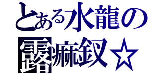 とある水龍の露痲釵☆（）