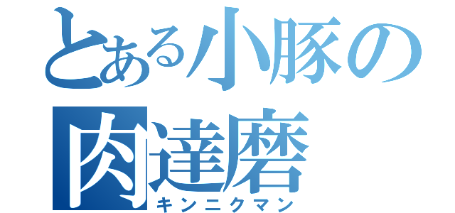 とある小豚の肉達磨（キンニクマン）