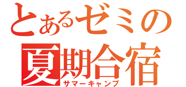 とあるゼミの夏期合宿（サマーキャンプ）