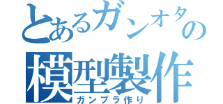 とあるガンオタの模型製作（ガンプラ作り）